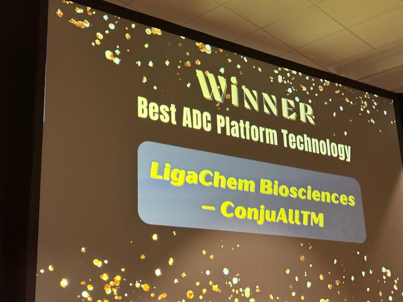 24.11.07 바이오·뷰티 인사이트