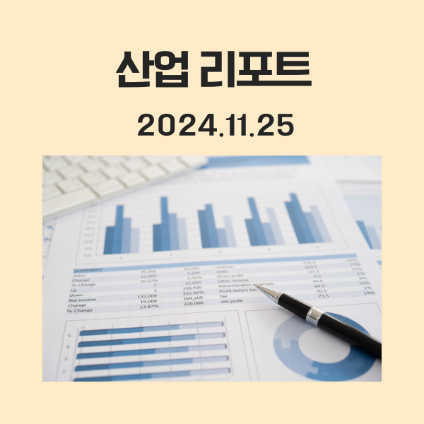 2024.11.25 산업 리포트 요약